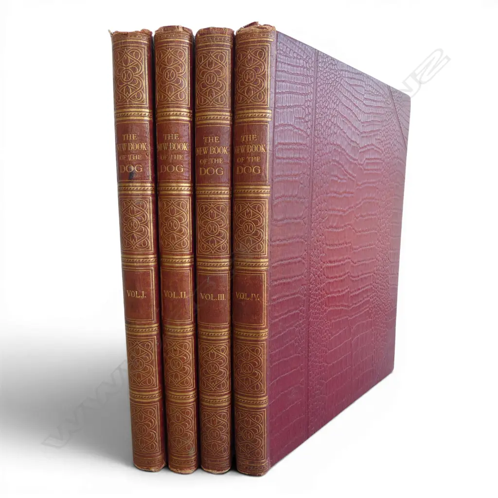 THE NEW BOOK OF THE DOG’, ROBt LEIGHTON 1859, 4 VOL SET, RED ALLIGATOR CLOTH w GILT SPINES. ALONG w 3 OTHER VINTAGE VOLS Image 1++