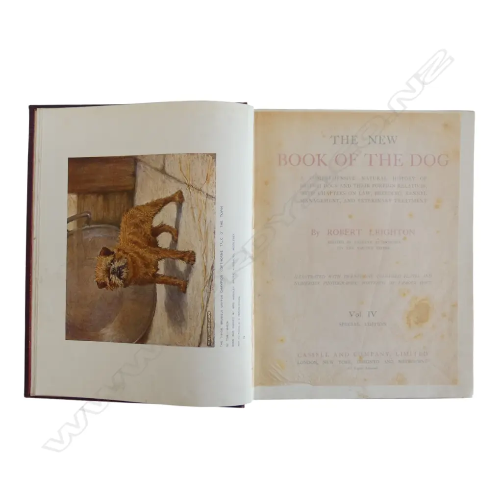 THE NEW BOOK OF THE DOG’, ROBt LEIGHTON 1859, 4 VOL SET, RED ALLIGATOR CLOTH w GILT SPINES. ALONG w 3 OTHER VINTAGE VOLS Image 1++