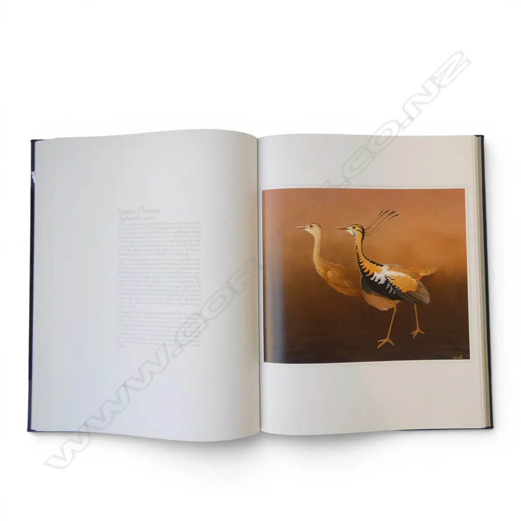 'THE FIFTY RAREST BIRDS OF THE WORLD' BY BLAKE L. TWIGDEN 415x320mm Image 1++