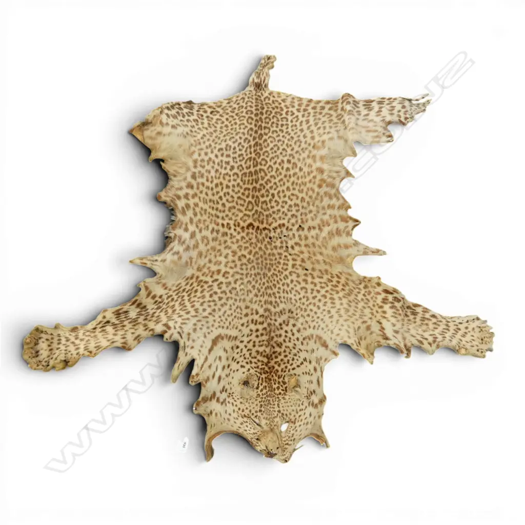 LEOPARD RUG Image 1++