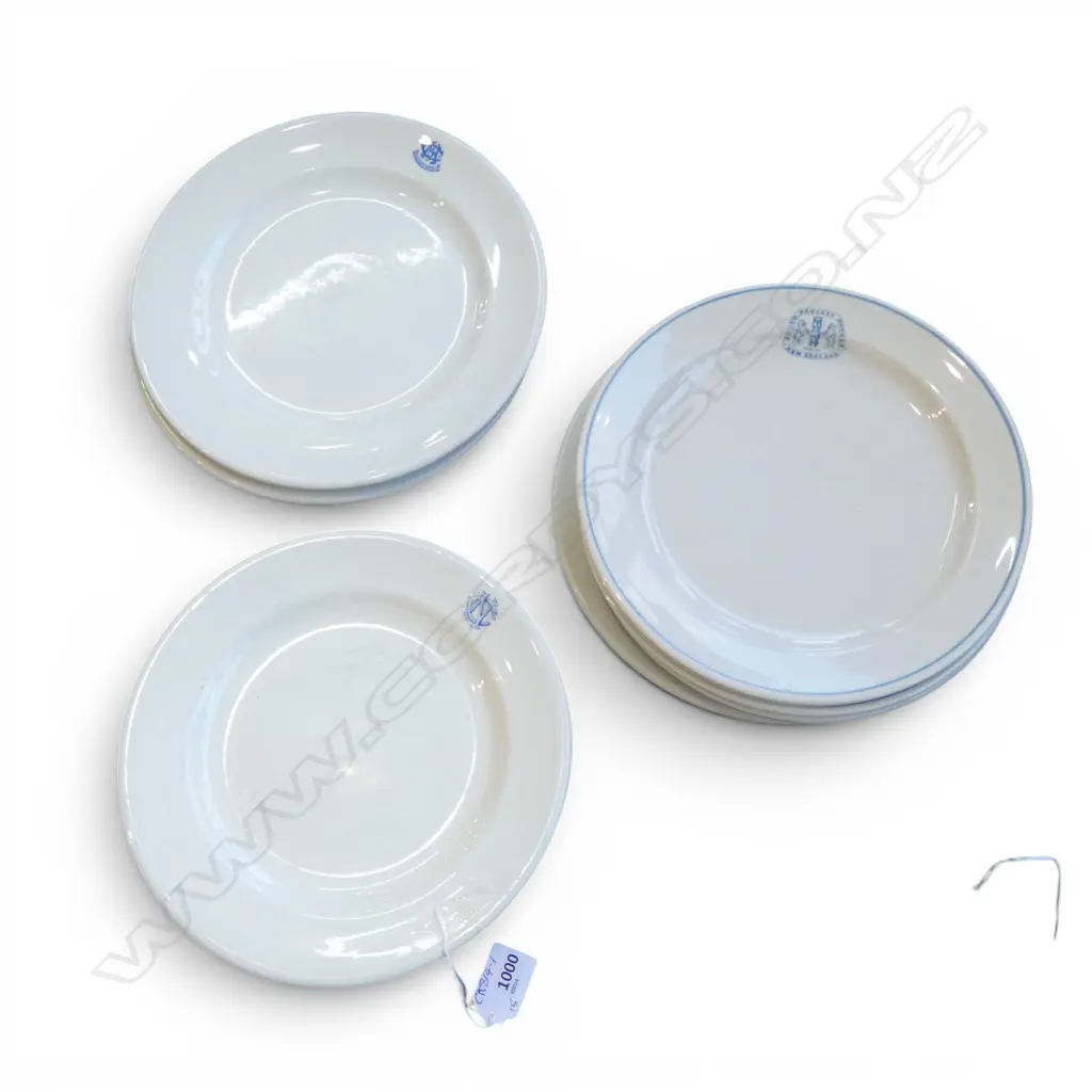 COLLECTION OF 15 HOTEL PLATES including 5 CROWN LYNN + 1 GIBSON & PATERSON PLATES Image 1++