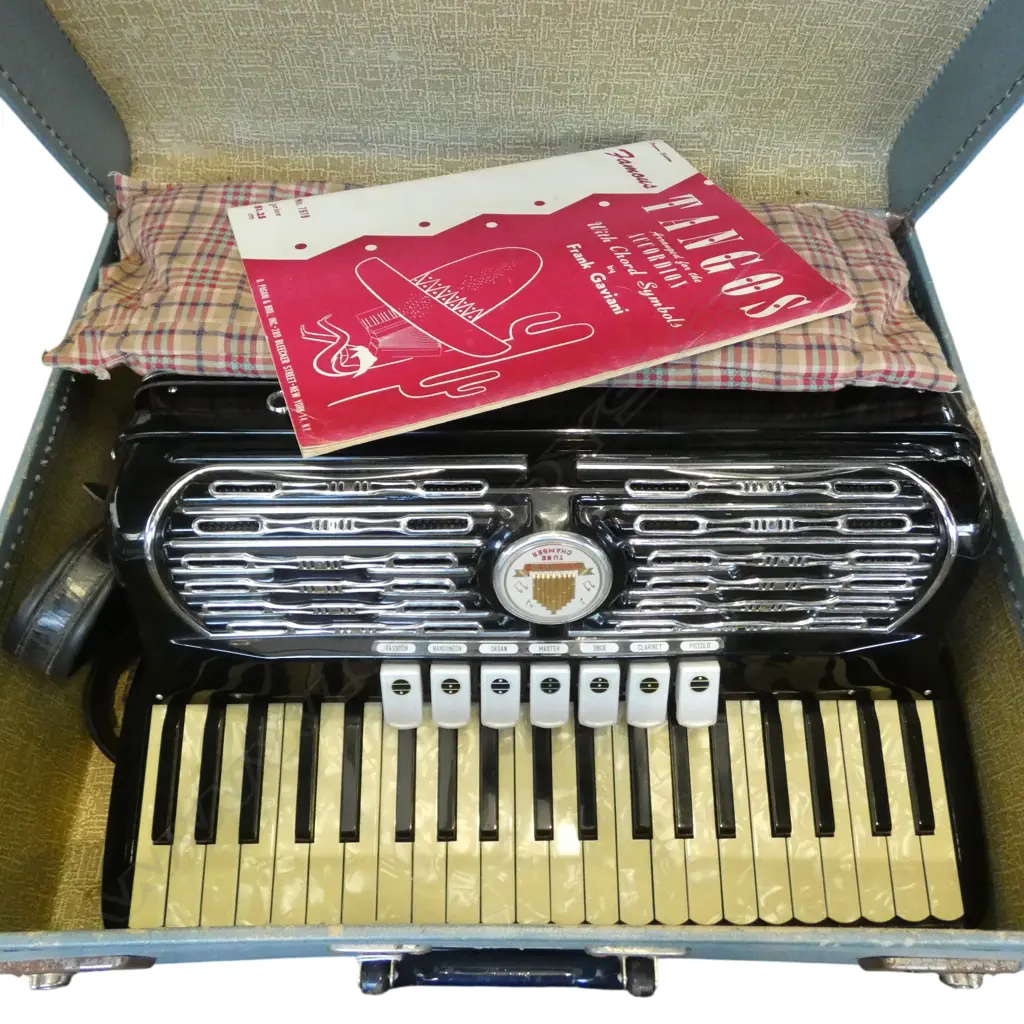 TITANO KEYBOARD ACCORDION, CASE AF Image 1++