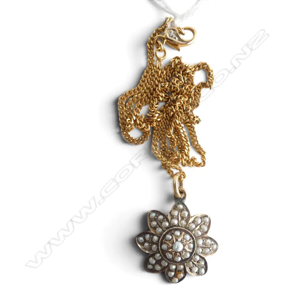 9ct SEED PEARL PENDANT on 8ct GOLD CHAIN, 6.3gm Image 1++