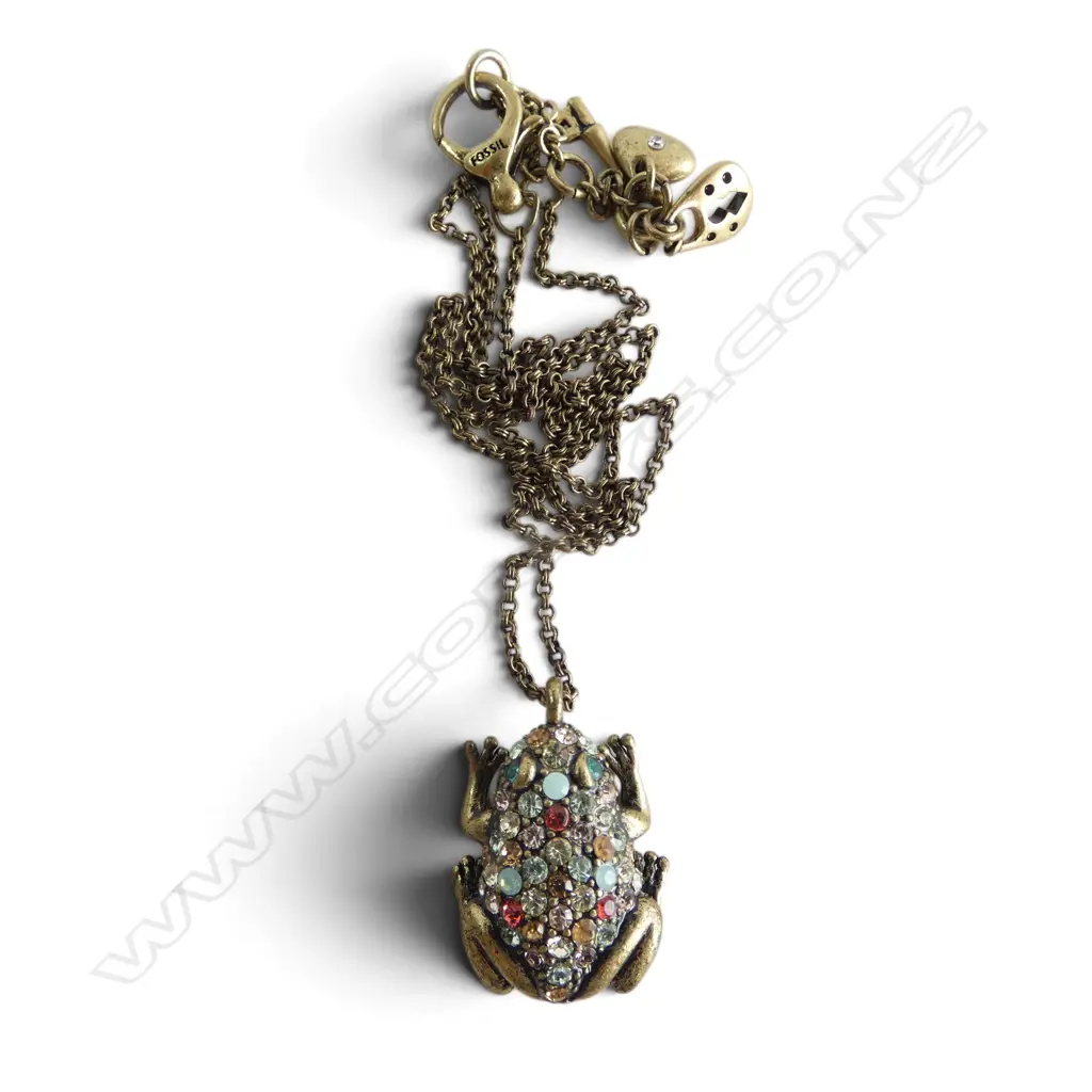 FOSSIL MULTICOLOR FROG PENDANT NECKLACE Image 1++