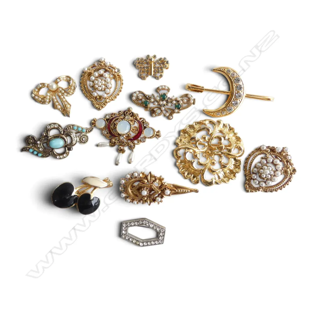 COLLECTION SML COSTUME BROOCHES Image 1++