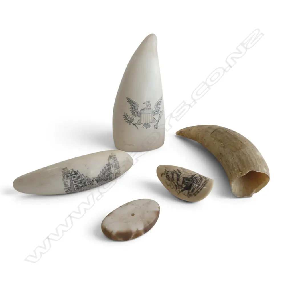 5 PCES SCRIMSHAW L.110mm Image 1++