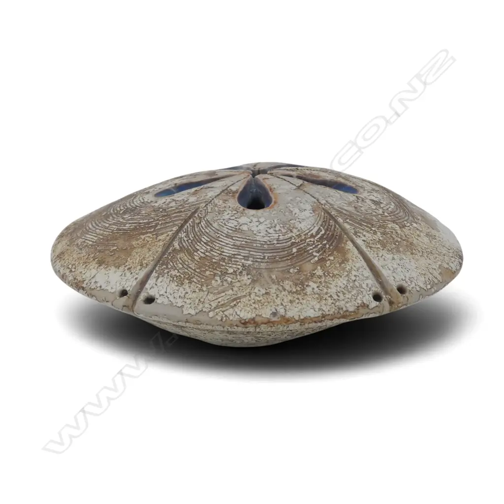 LINDSAY BEDOGNI SEED POD FORM, Dia.160mm, mark to base Image 1++