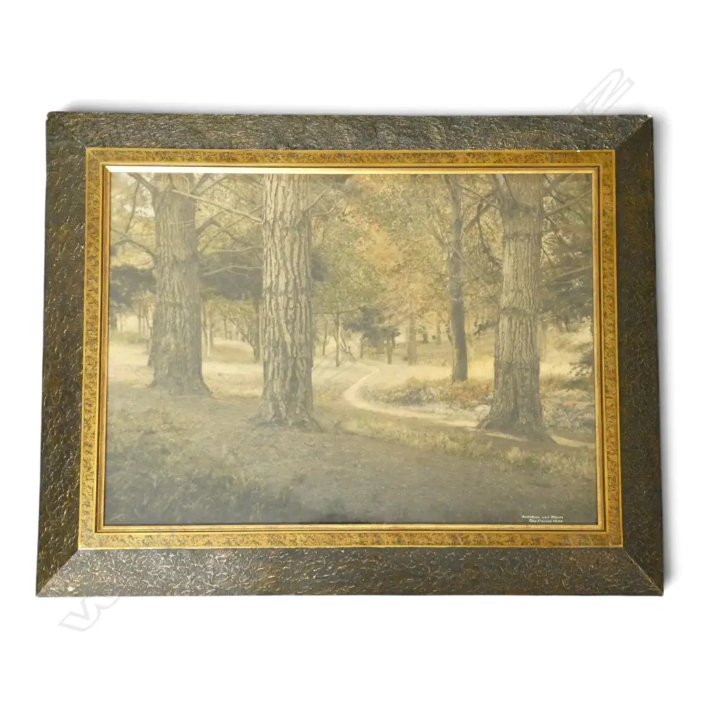 GEORGE CHANCE, 'SUNSHINE AND SHADE', HAND COLOURED SILVER GELATIN PRINT, SIGNED AND TITLED, 415 X 565mm Image 1++
