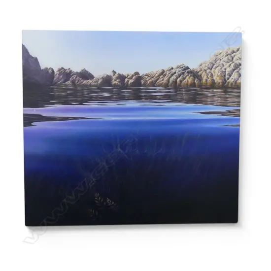 JACQUELINE ELLEY 'NATURE RECLAIMS THE QUARRY (NGA MOTU SUGARLOAF ISLANDS)' OIL ON BOARD 2017 445x500mm