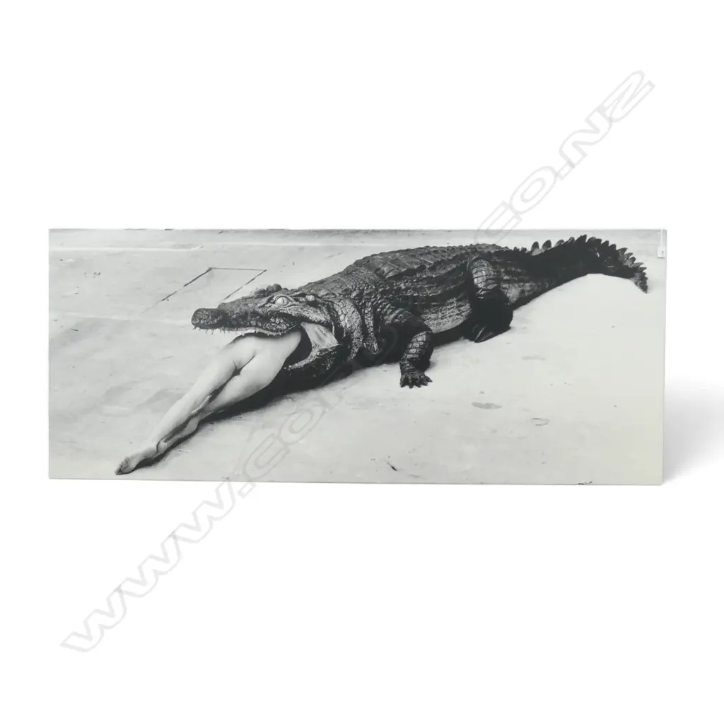 LG HELMUT NEWTON PRINT ON CANVAS 'CROCODILE EATING BALLERINA' 820x1990mm  Image 1++