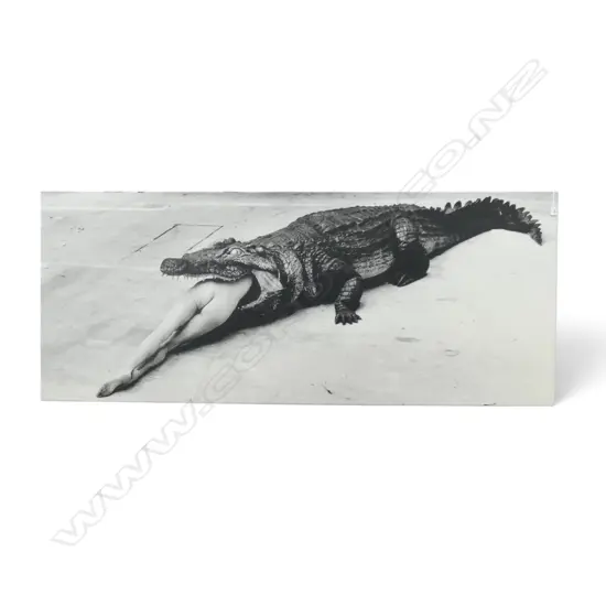 LG HELMUT NEWTON PRINT ON CANVAS 'CROCODILE EATING BALLERINA' 820x1990mm 