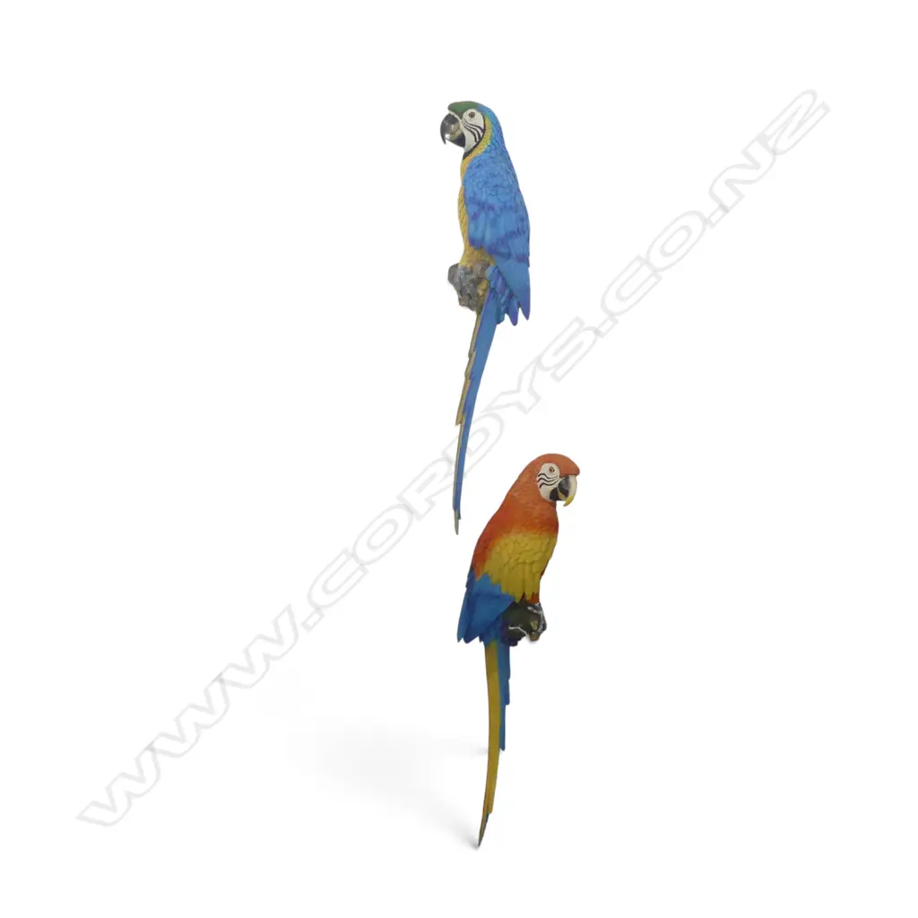 PR OF WALL HANGING PARROTS L.740mm Image 1++