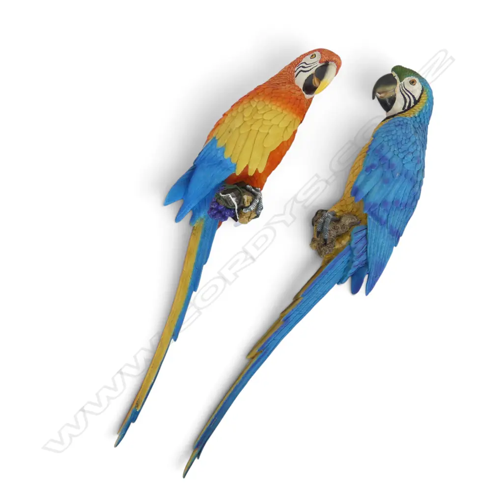 PR OF WALL HANGING PARROTS L.740mm Image 1++