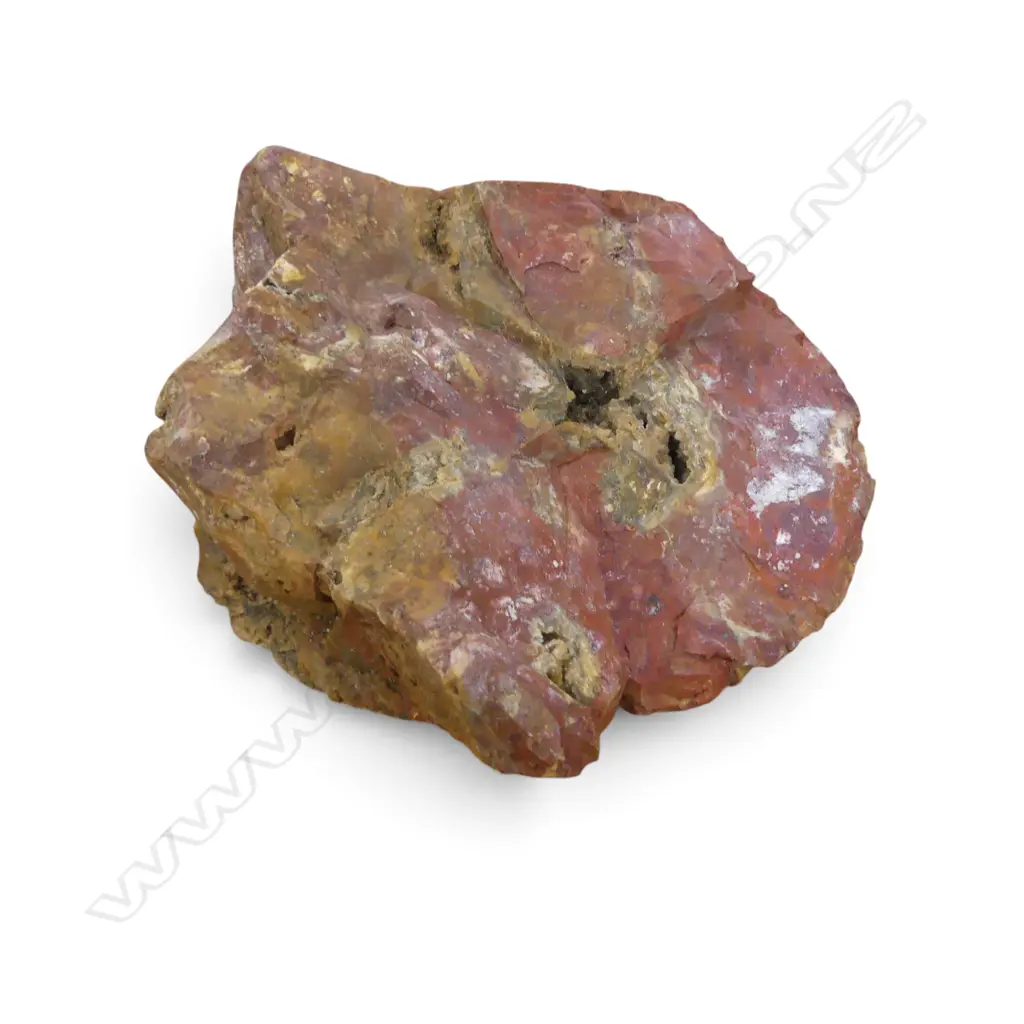 YELLOW & RED JASPER, OBSIDIAN, FOSSILS ETC Image 1++