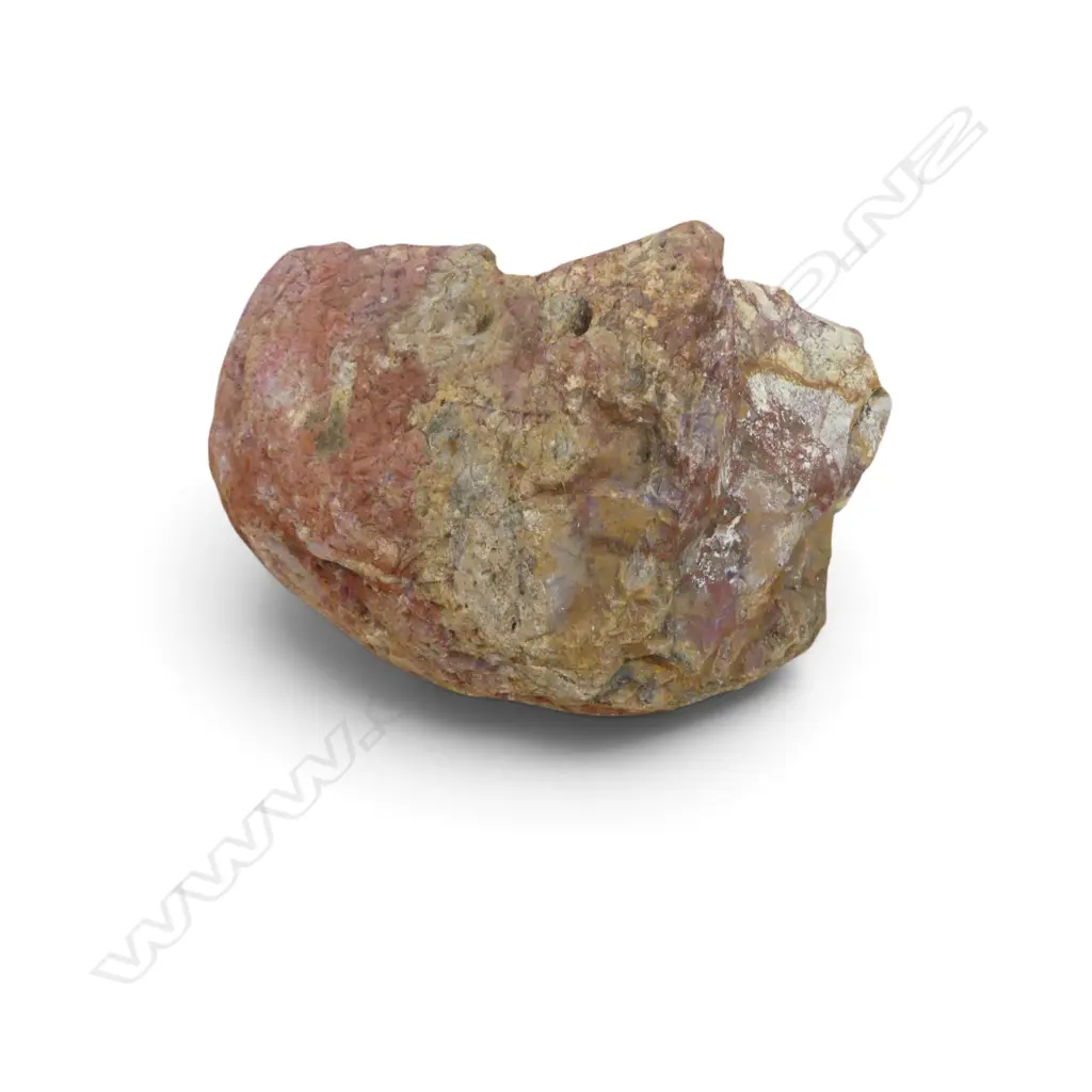 YELLOW & RED JASPER, OBSIDIAN, FOSSILS ETC Image 1++