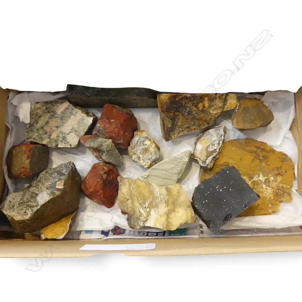 YELLOW & RED JASPER, OBSIDIAN, FOSSILS ETC Image 1++