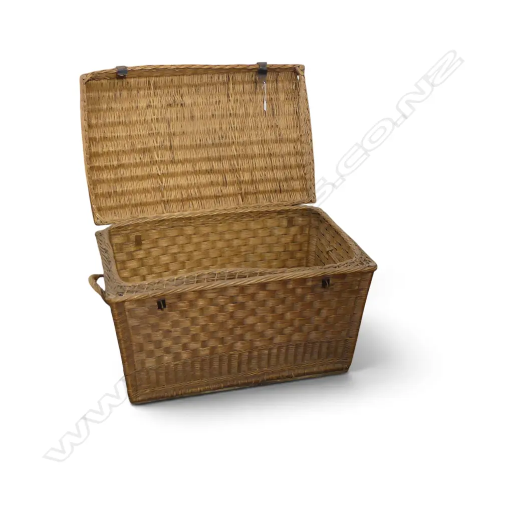 LG OLD CANE TRUNK 880x570x530mm Image 1++