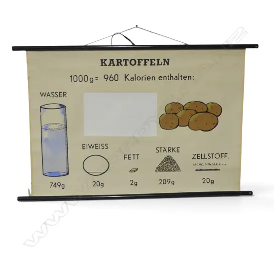VINTAGE GERMAN WALL HANGING CHART, Kartoffeln=potatoes, H.700x1100mm