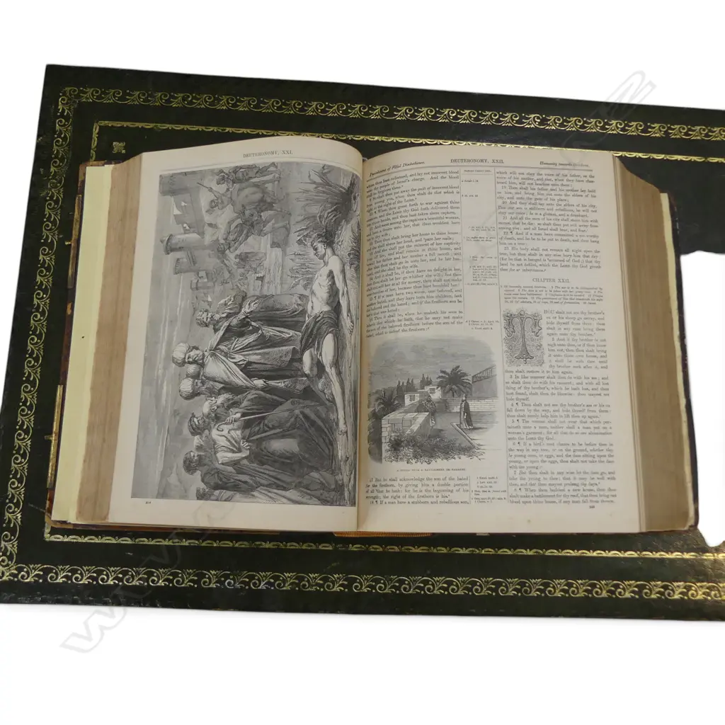 ILLUSTRATED HOLY BIBLE  Image 1++