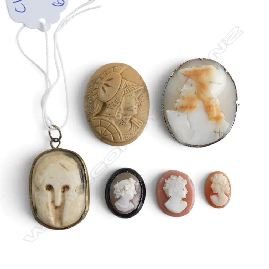 6 CAMEOS (1 w.GOLD TRIM TESTING AS 7CT 35x30mm) Image 1++