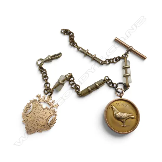 1920's 2 x 9ct GOLD bird related MEDALLIONS on GILT + mother of pearl BRASS CHAIN. 9ct gold  FOBS 17gms...