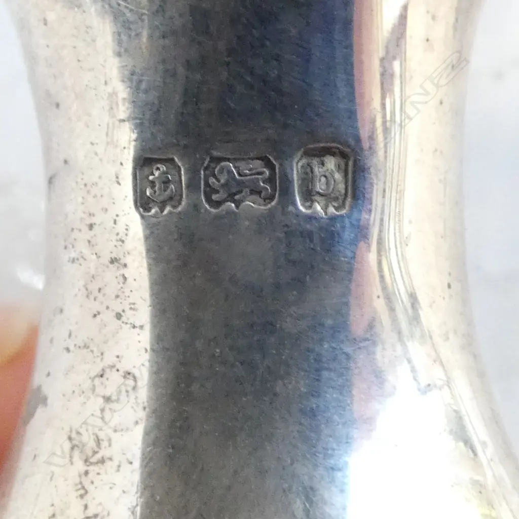 3 STG SILVER CONDIMENTS, 197gms Image 1++