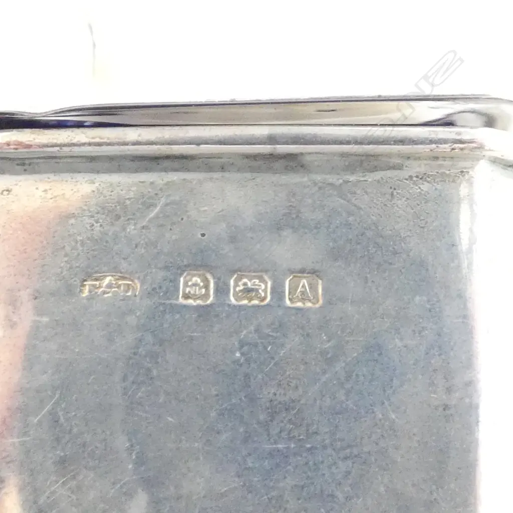 3 STG SILVER CONDIMENTS, 197gms Image 1++