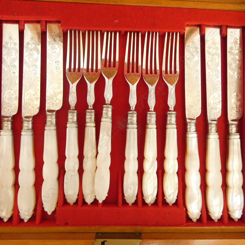 12 PCE BOXED FRUIT SET w. MoP HANDLES Image 1++