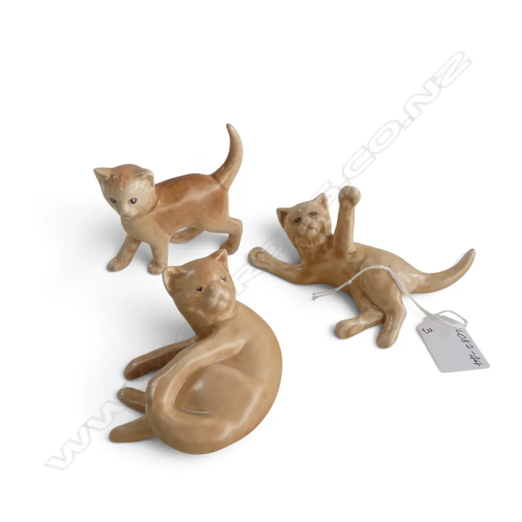 3 SML SYLVAC CATS, H.40-65mm Image 1++