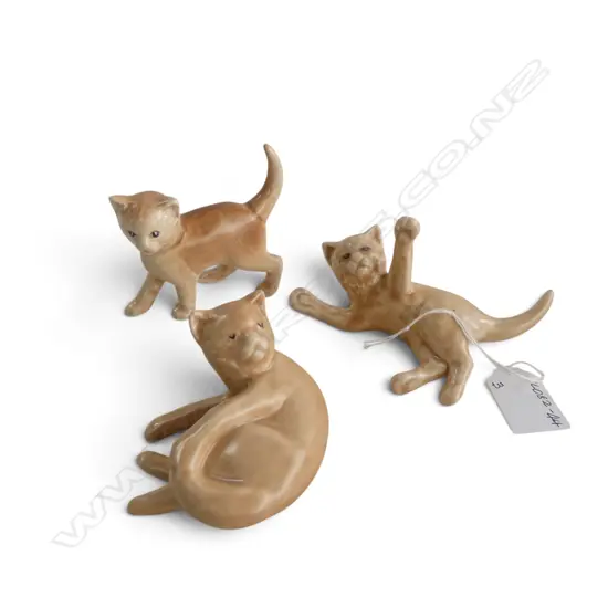 3 SML SYLVAC CATS, H.40-65mm