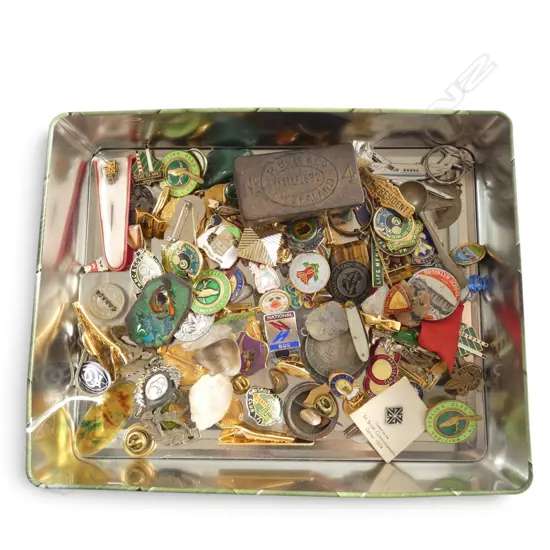 ASST. PINS & BADGES