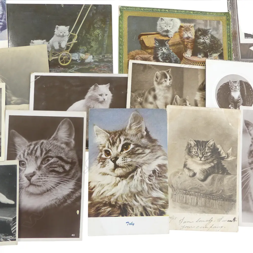 32 ANTIQUE POSTCARDS OF CATS  Image 1++