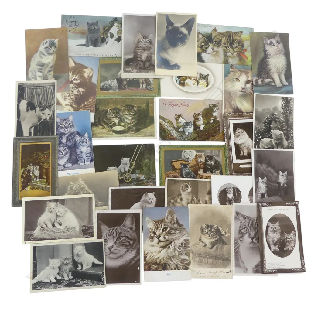 32 ANTIQUE POSTCARDS OF CATS  Image 1++