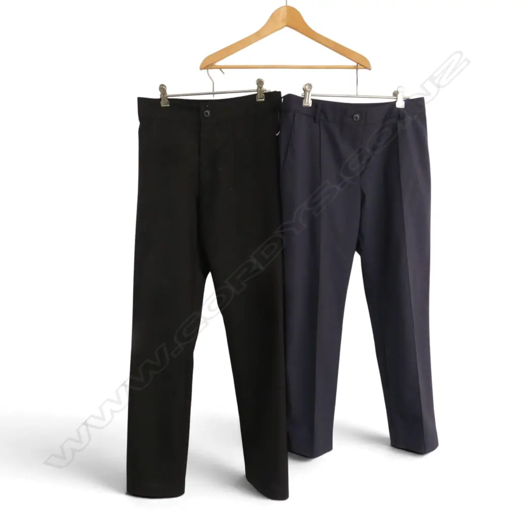 2 PRS ZAMBEZI TROUSERS; FORTHRIGHT BLACKBOX SIZE S, PINTUCK SAPPHIRE SZ 10  Image 1++