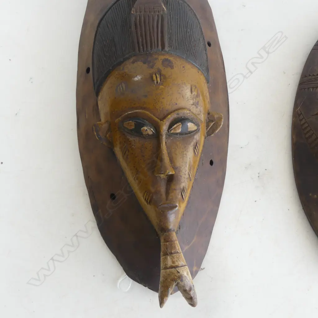 2 AFRICAN WALL MAKS L.420mm Image 1++