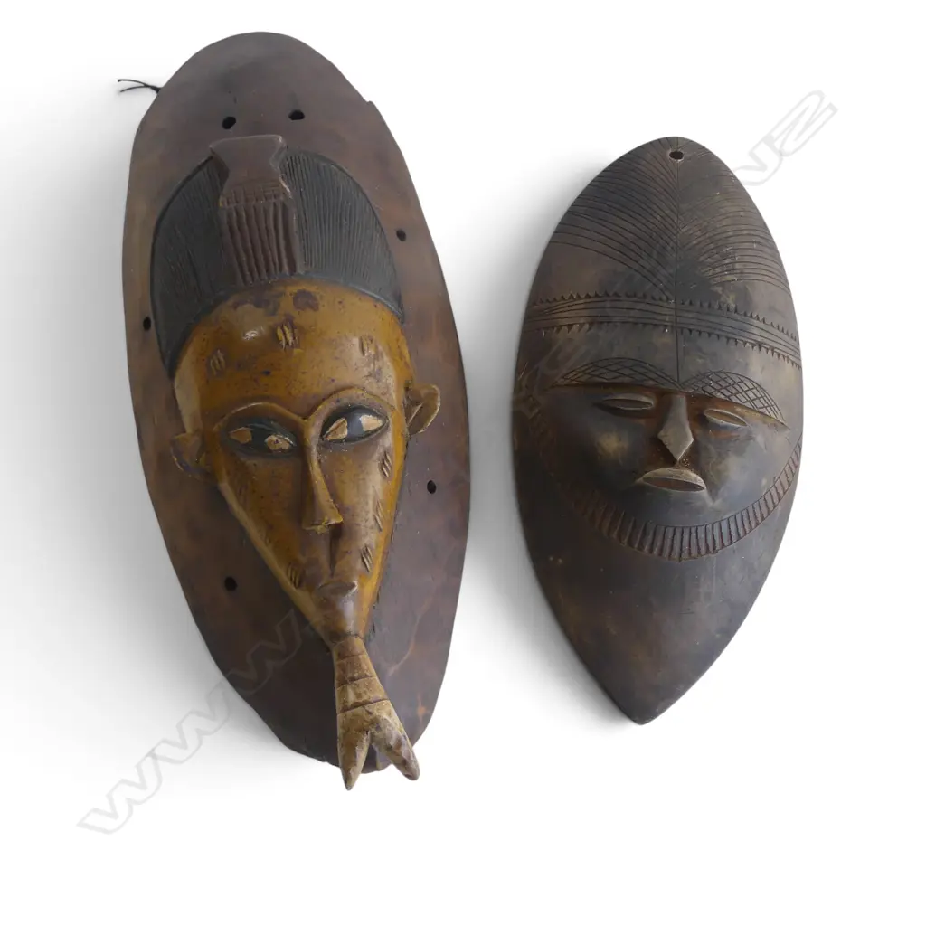 2 AFRICAN WALL MAKS L.420mm Image 1++