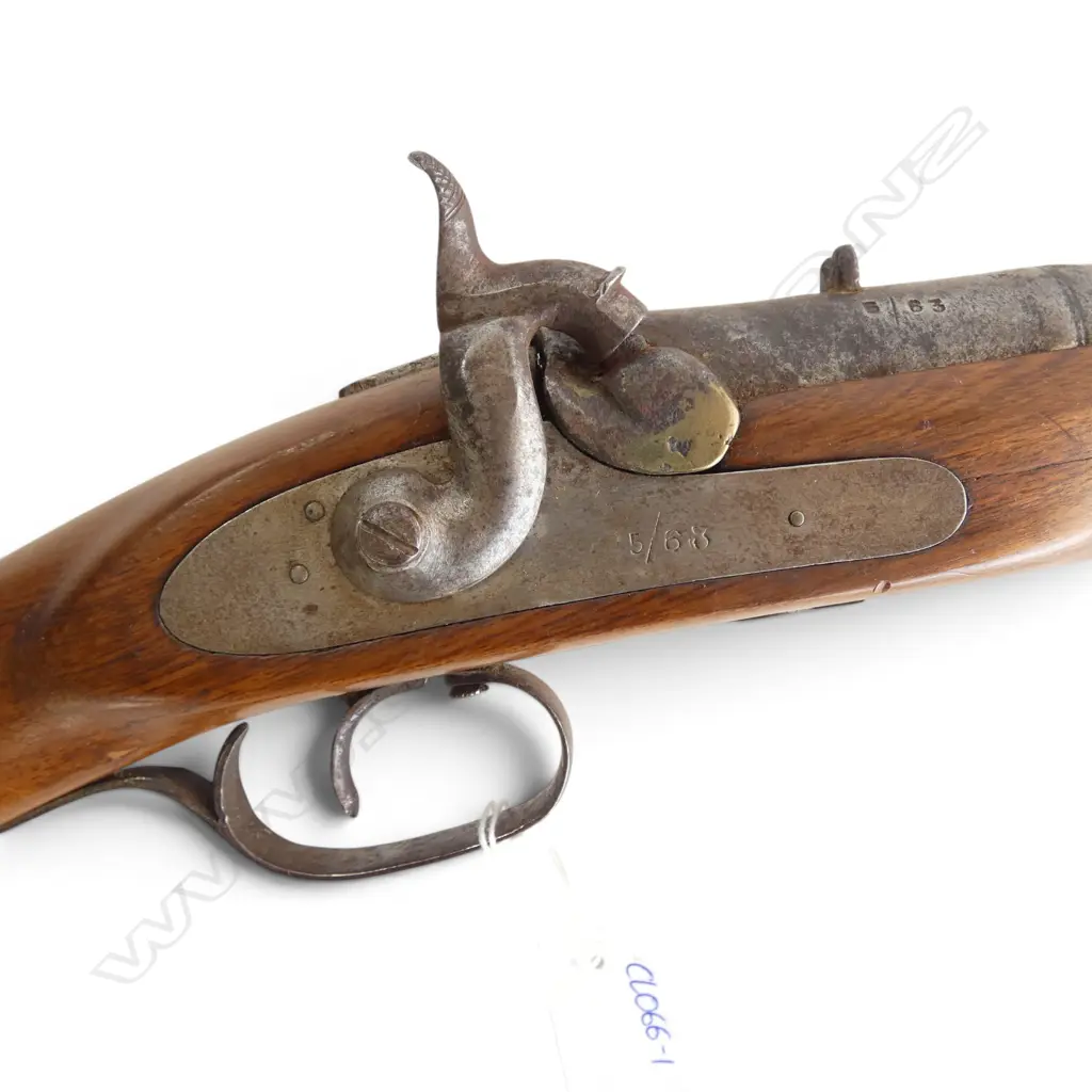 19thC BLACK POWDER HAMMER GUN w. RAM ROD. RESTORED MAHOGANY WOODWORK AND LOCKPLATE ENGRAVED 5/63. IN BAG. L.1210mm Image 1++