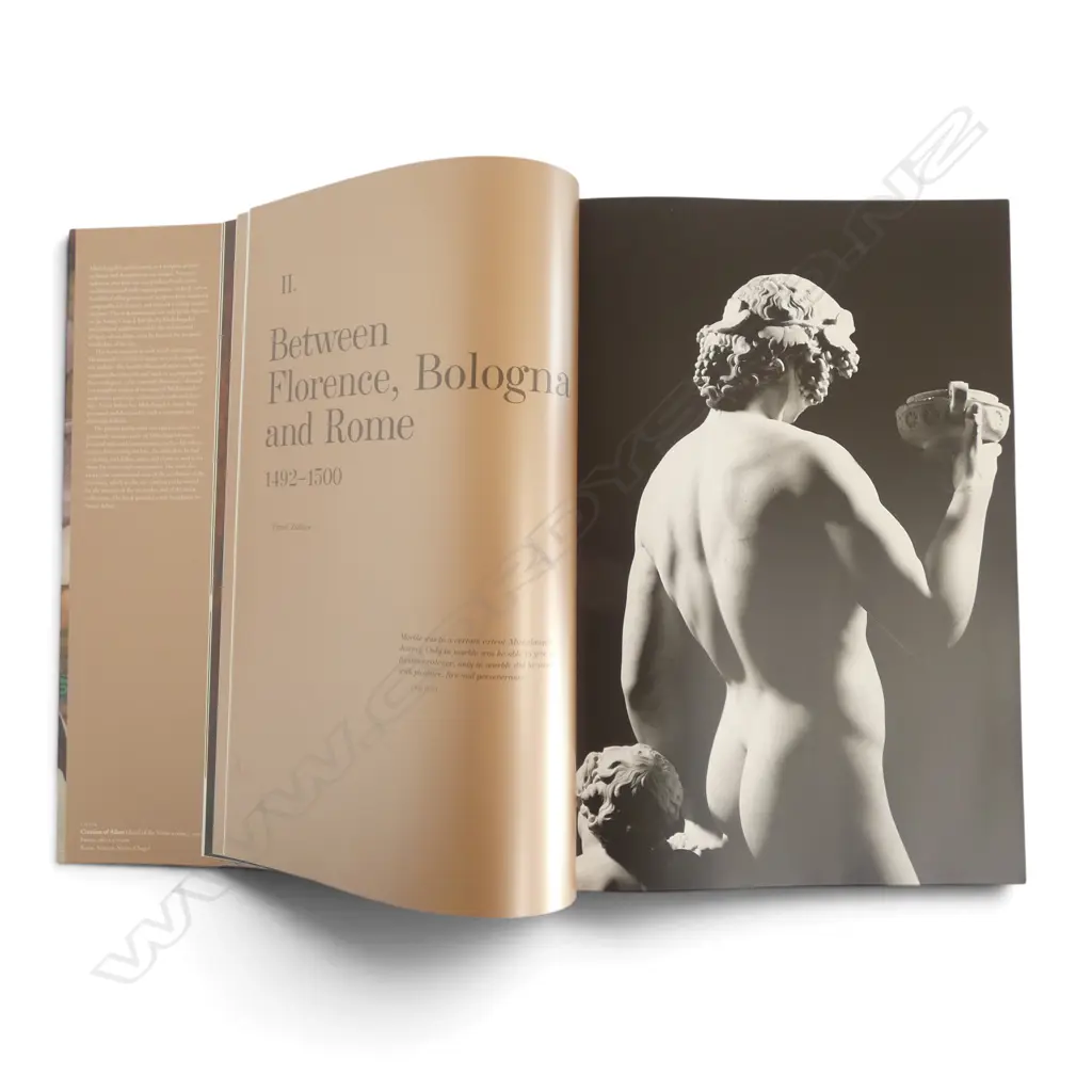 LG ART TASCHEN ART BOOK; MICHELANGELO: COMPLETE WORKS 305x75x450mm Image 1++