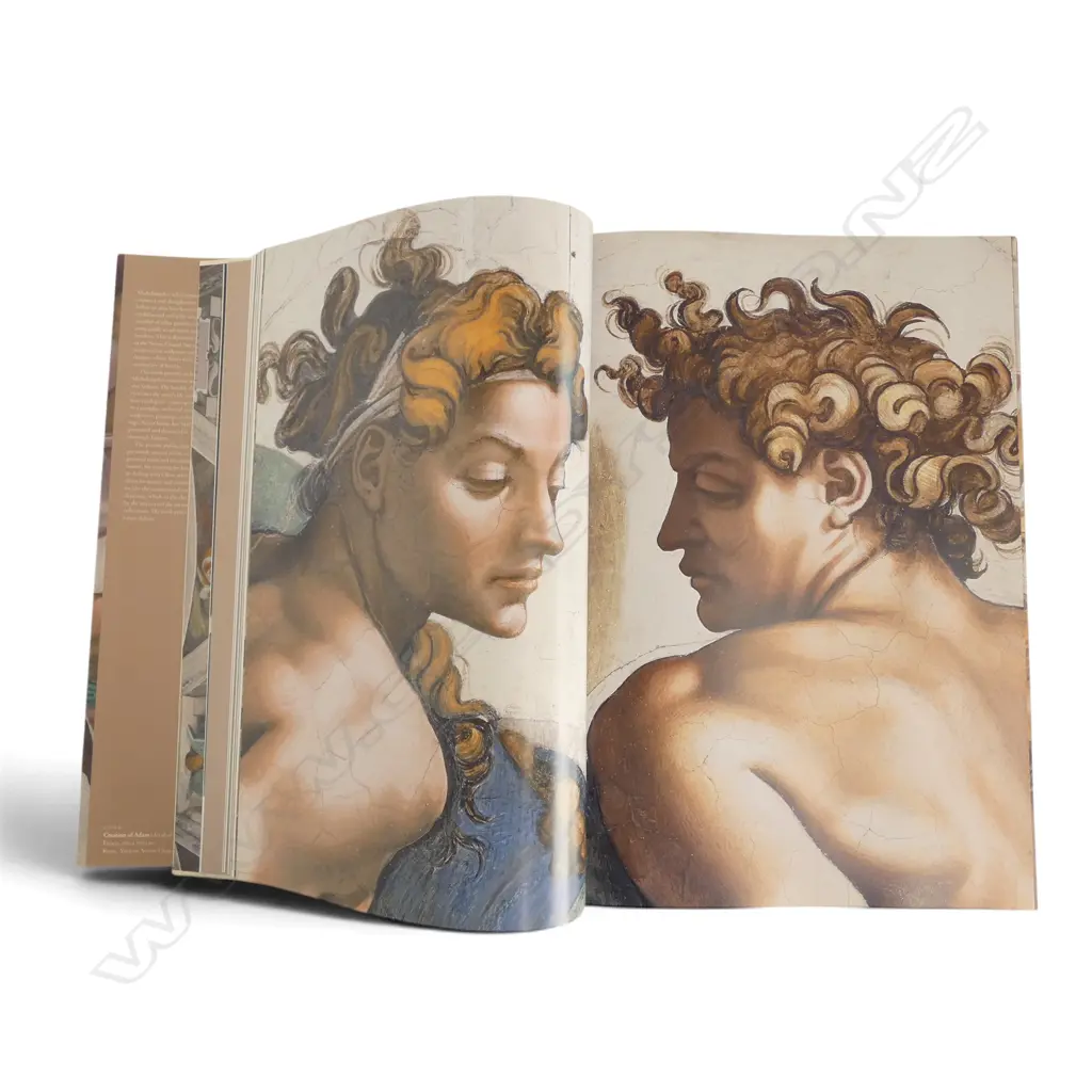 LG ART TASCHEN ART BOOK; MICHELANGELO: COMPLETE WORKS 305x75x450mm Image 1++