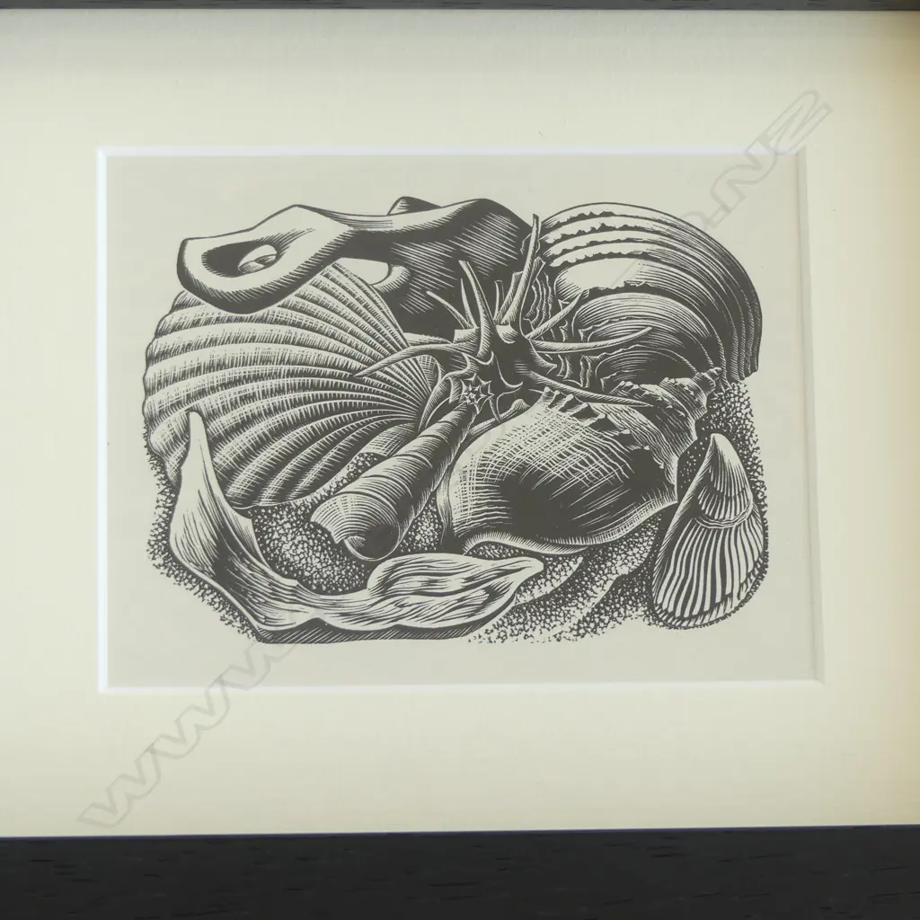 E MERVYN TAYLOR, SHELLS, ORIGINAL BOOKPLATES FROM ENGRAVINGS ON WOOD, 90x115mm Image 1++