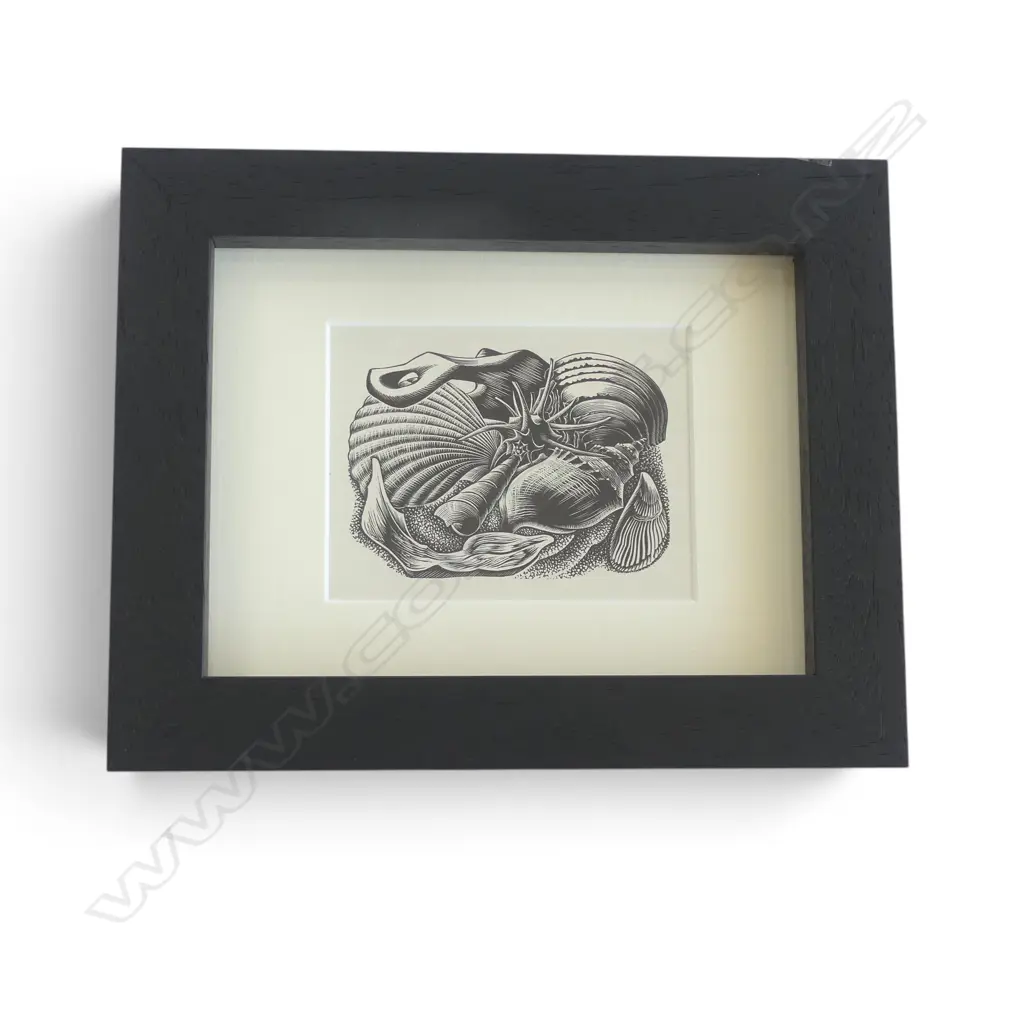 E MERVYN TAYLOR, SHELLS, ORIGINAL BOOKPLATES FROM ENGRAVINGS ON WOOD, 90x115mm Image 1++
