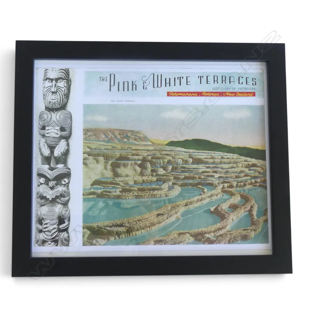 FRAMED REPRODUCTION OF A HAND-COLOURED BOOKLET COVER by CHARLES SPENCER OF THE PINK & WHITE TERRACES 240x290mm Image 1++