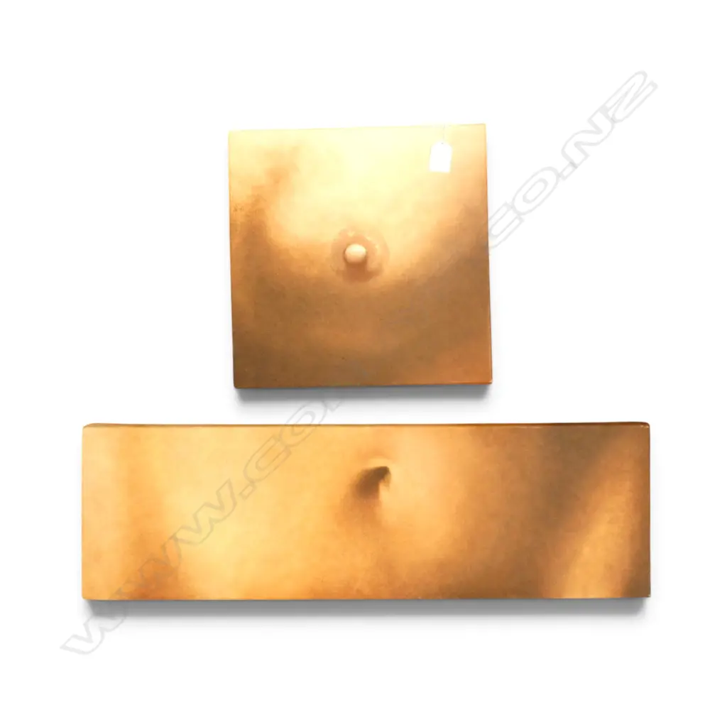 ANITA BLANCHET, NIPPLE & NAVEL STUDIES (2), OILS ON CANVAS, 200x655 300x300mm Image 1++