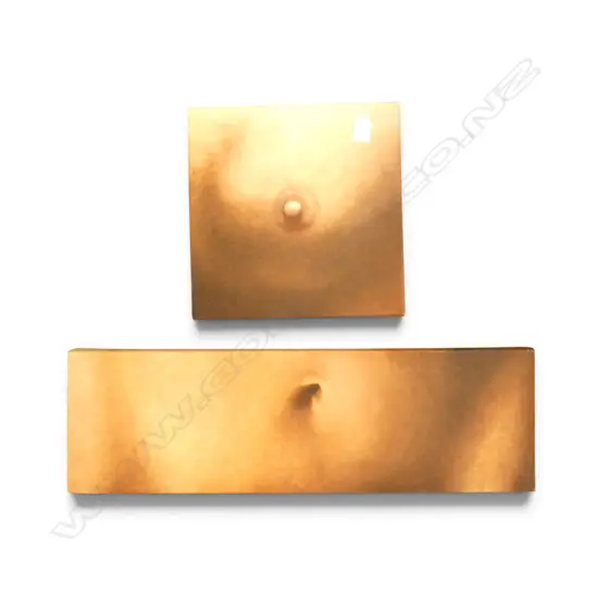 ANITA BLANCHET, NIPPLE & NAVEL STUDIES (2), OILS ON CANVAS, 200x655 300x300mm