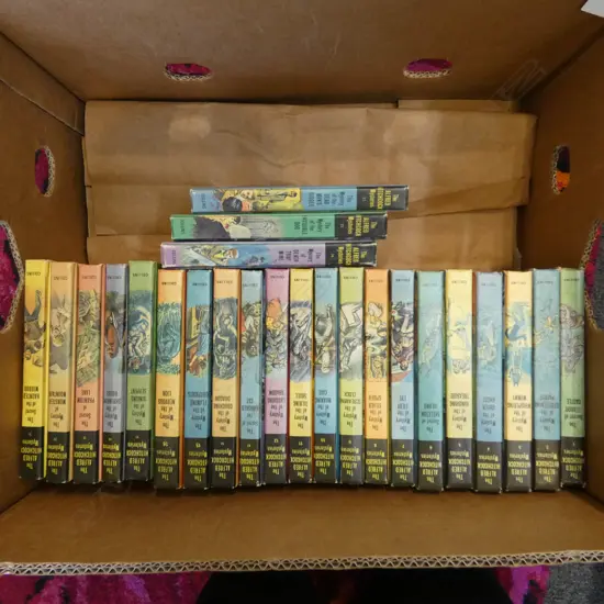24 ALFRED HITCHCOCK CHILDRENS BOOKS