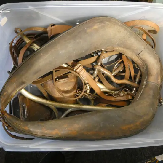 HORSE HARNESS ETC