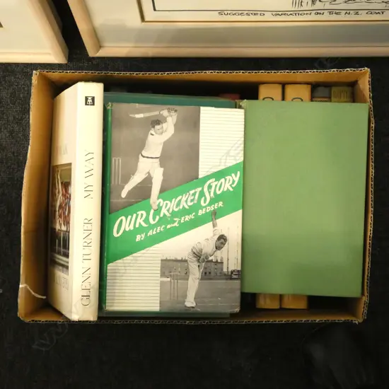 COLLECTION CRICKET THEMED BOOKS mostly biographies