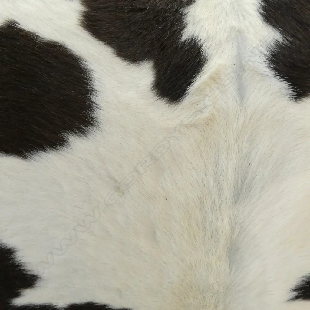 SMALL COW HIDE RUG 1100x900mm Image 1++