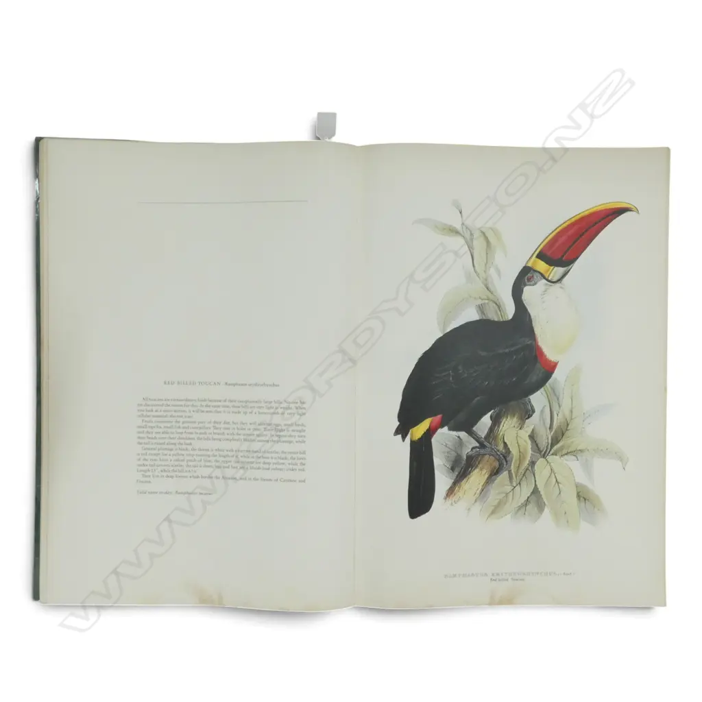 LG ART BOOK; THE BIRDS OF EDWARD LEAR, ARIEL PRESS LONDON 560x380mm Image 1++