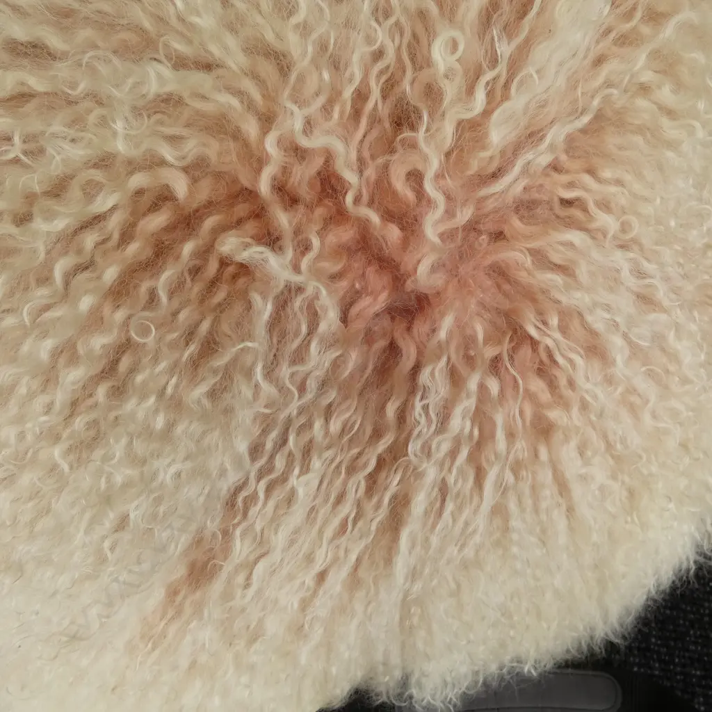 2 SHEEPSKIN CUSHIONS 450x450mm Image 1++